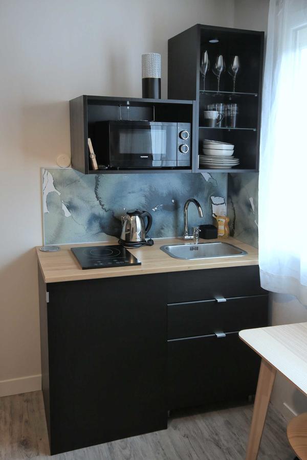 Le Nid Bord De La Loire Apartment ออร์เลออง ภายนอก รูปภาพ